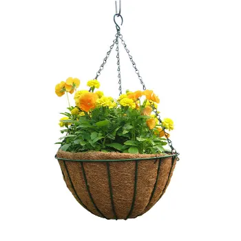 Brandvu Hanging Basket